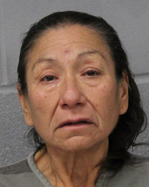SAN JUANITA CAVAZOS TORRES arrested by APD