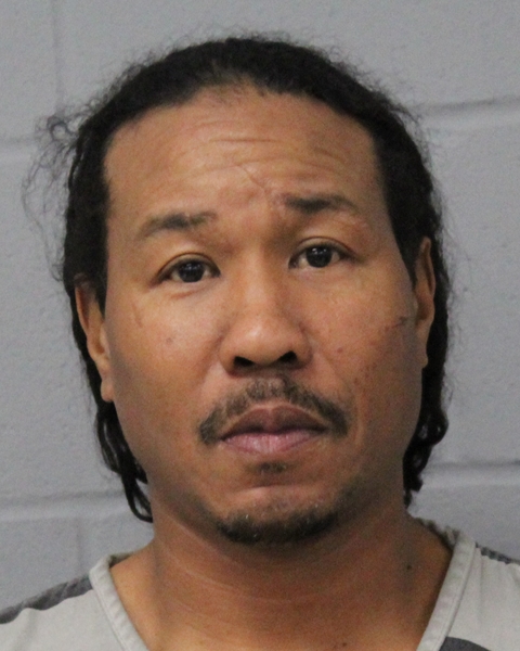 LARYL LANDERS booking photo