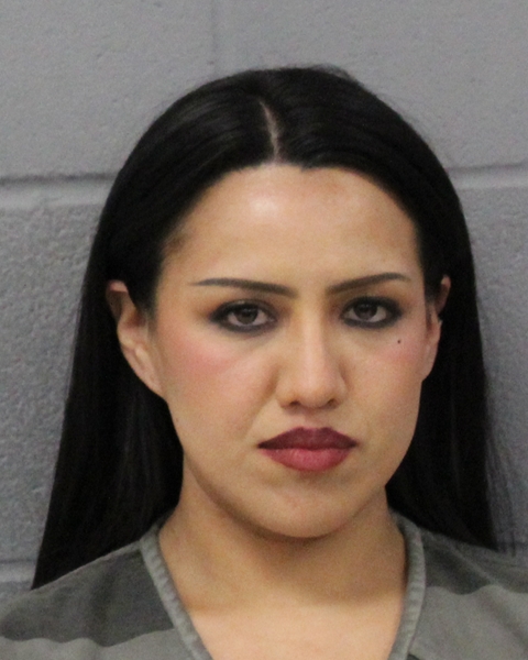 MARITZA HIDROGO booking photo