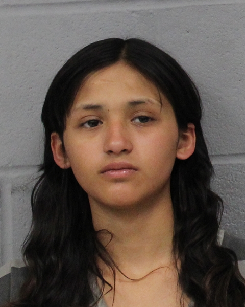 IRENE RAMIREZ booking photo