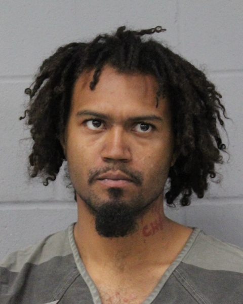 BRYCE ARSENAULT booking photo