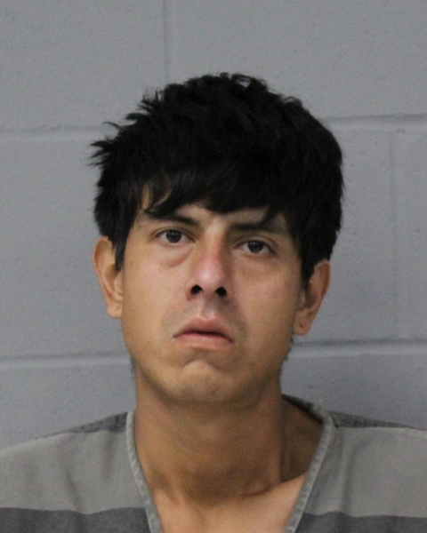 SHAHRAM HADIVINCHEH booking photo