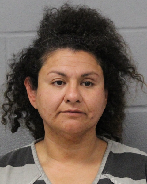 MONIKA HERNANDEZ booking photo