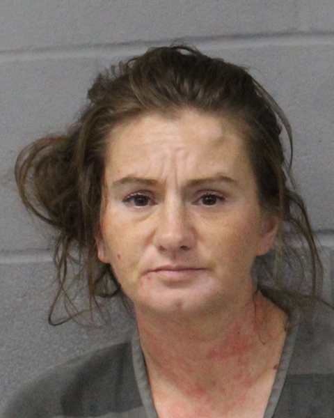 LAUREN VANN booking photo