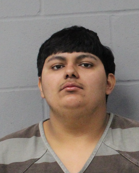 ALVARO CALVO booking photo