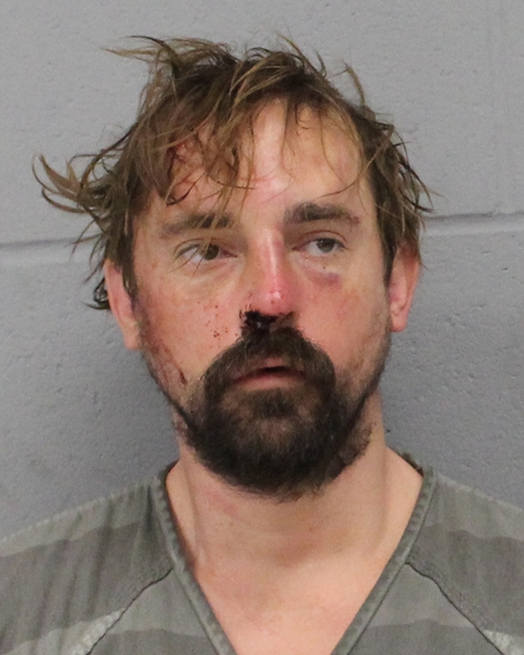 NANTHANIEL GREEN booking photo