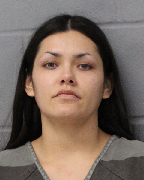 LESLIE DIAZ booking photo