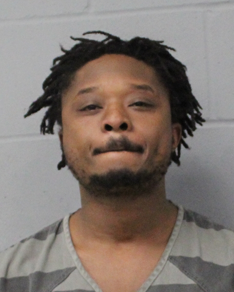 WHITNEY BROWN booking photo