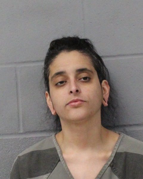 BEVERLY FERNANDEZ booking photo