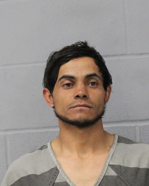 DIXON ROCHA-NUNEZ booking photo