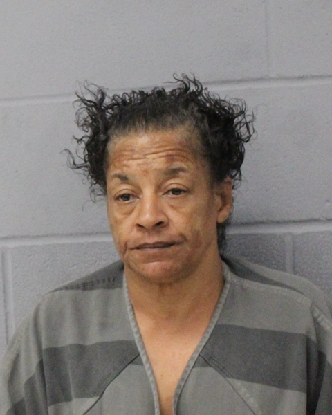 LUCINDA JOHNSON booking photo