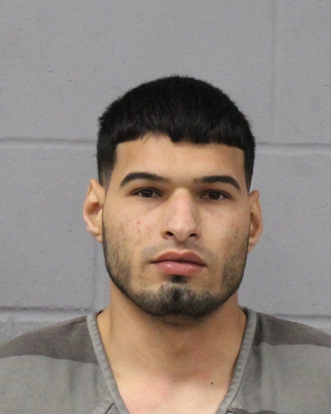 NESKAND VIERNES TORNES booking photo