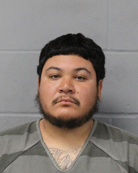 ADIEL ESTRADA booking photo