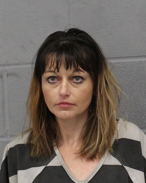 SHAINA WALDFOGEL booking photo