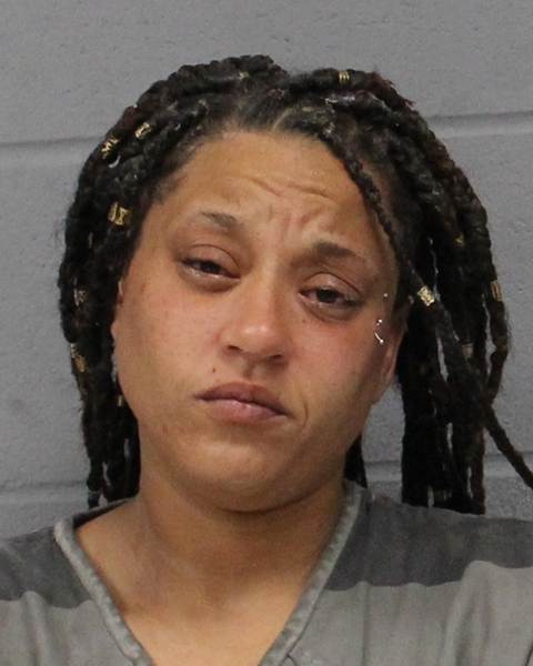 SIERRA THOMPSON-MCDONALD booking photo