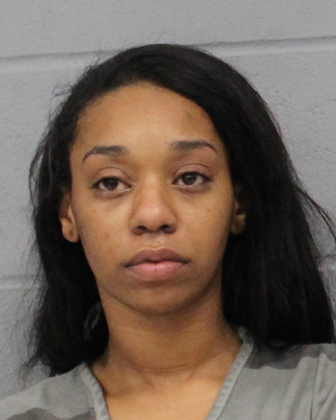 BRIANA BROWN booking photo