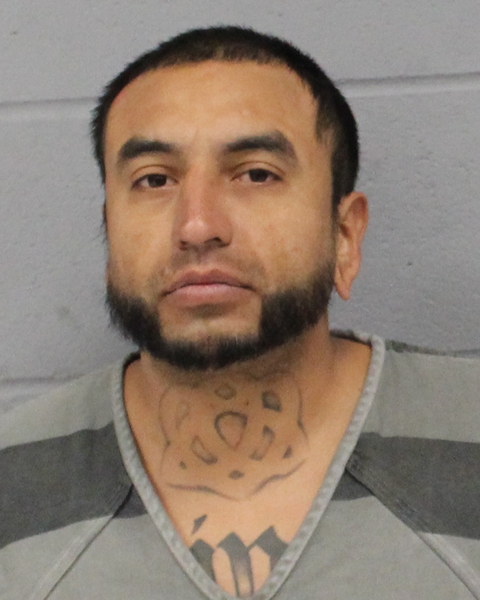 LEE TORRES booking photo