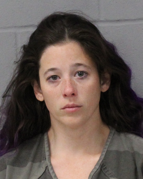 HEATHER DONOVAN booking photo