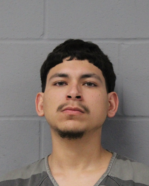 LUIS HERRERA booking photo