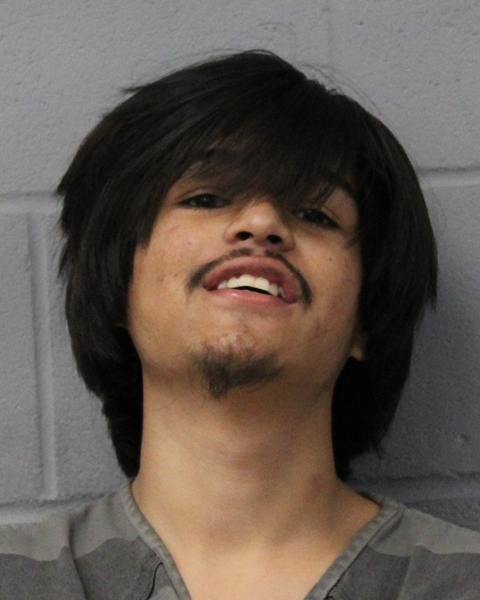 JOHNSIAH LUNA arrested by APD