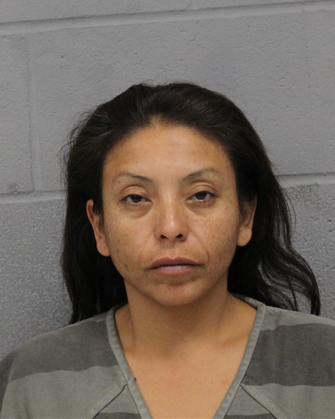 CLEMENTINA AGUILAR booking photo