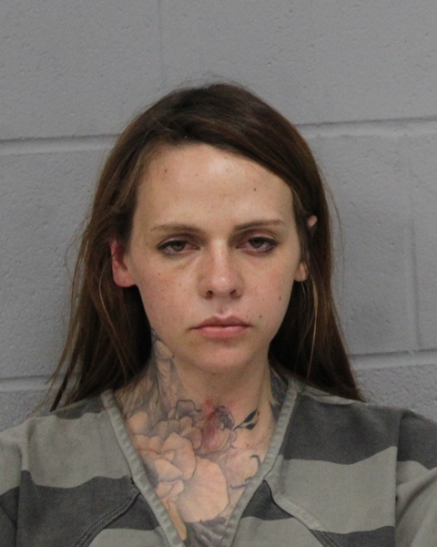 NICOLE NIESET booking photo