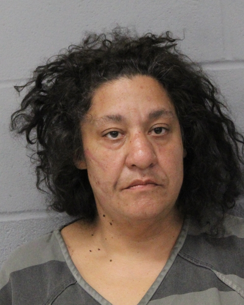 ANELG CHATMAN booking photo