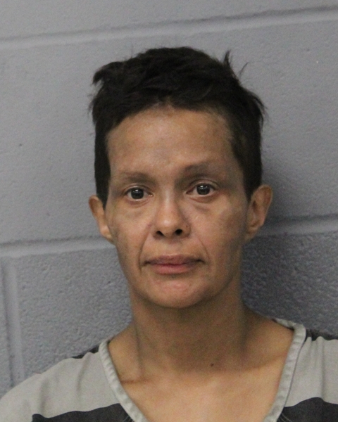 JENNIFER RIVERA booking photo