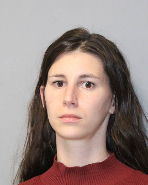 ALEXIS RYAN booking photo