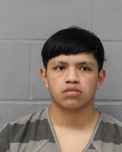 JACKSON XAL VASQUEZ booking photo