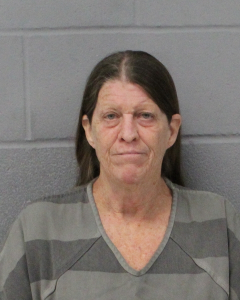 DONNA STANG booking photo