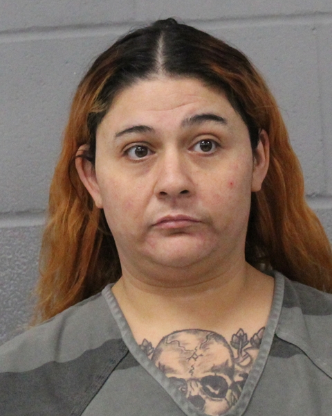 TIFFANY LERMA arrested by APD