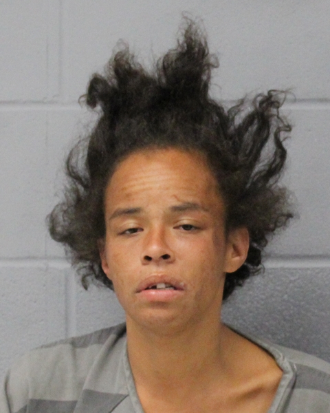 LAQUISHA HOWELL booking photo