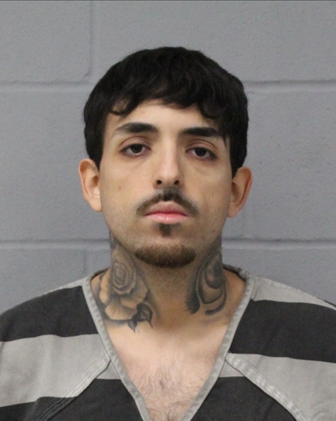 SILUS BRIONIS booking photo