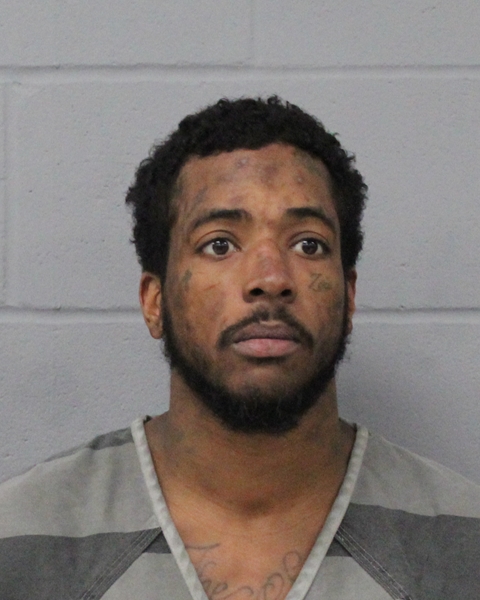 HAHLLIE BROOKS booking photo