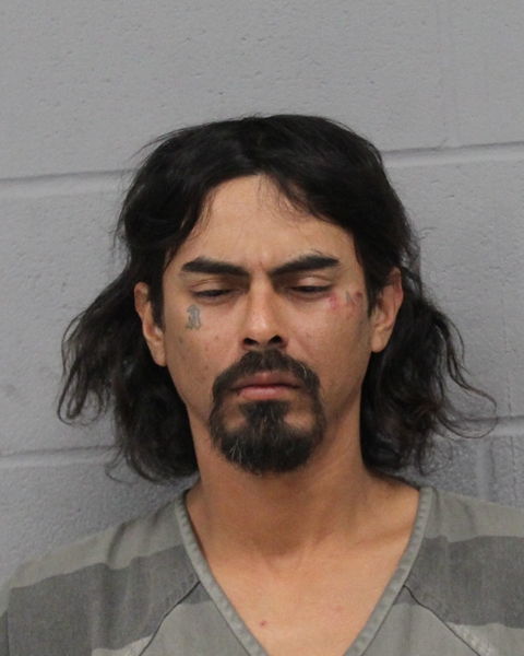 PATRICK LUNA booking photo