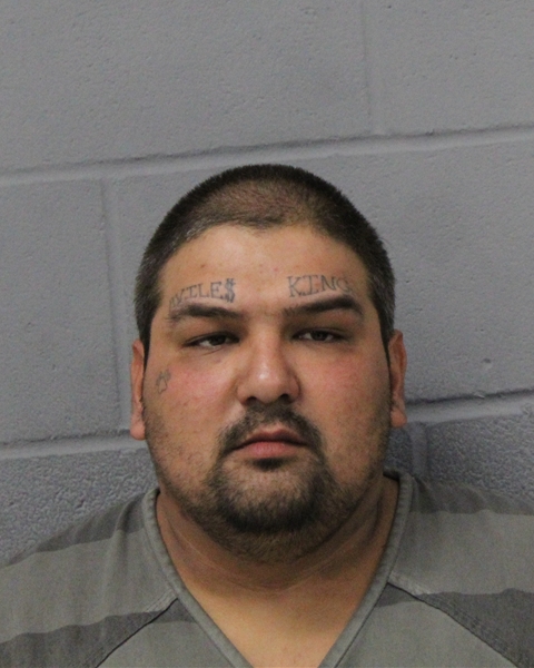 DOMINIQUE AVILES booking photo