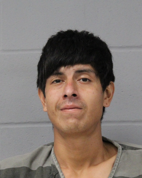 SHAHAM HADIVINCHEH booking photo