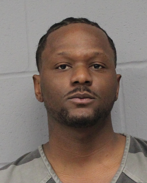 MATTHEW LEBLANC booking photo