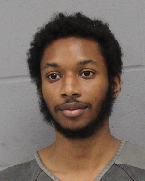 NAVI GREGORY booking photo