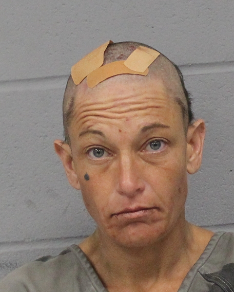 TIANA FRANKS booking photo