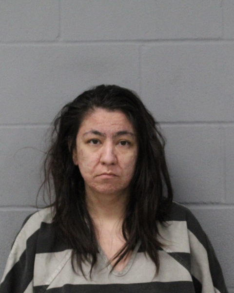 MELISSA JERRARD arrested by APD