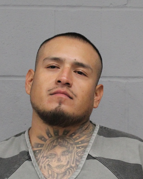 DAVID HERNANDEZ booking photo