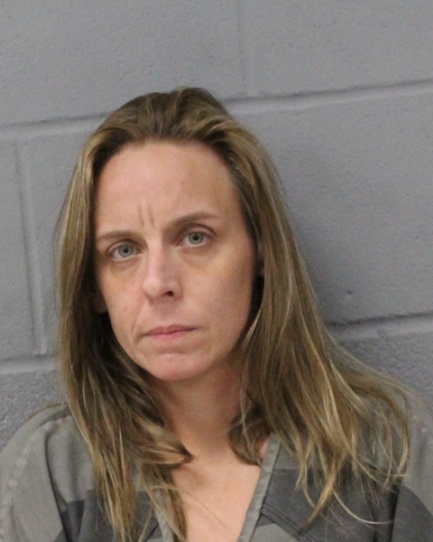 SARAH ELLIS booking photo