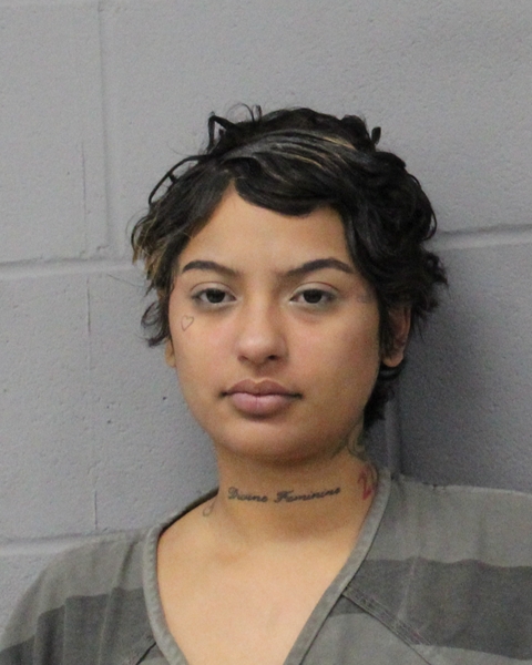 IMANI JOHNSON arrested by APD