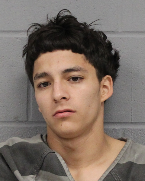 SANTANA GONZALES arrested by APD