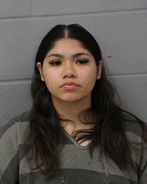 EZABEL WILLIAMS arrested by APD