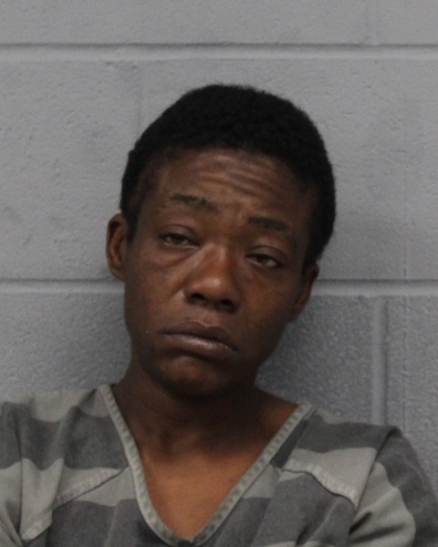 LYZENTIA FISHER arrested by APD