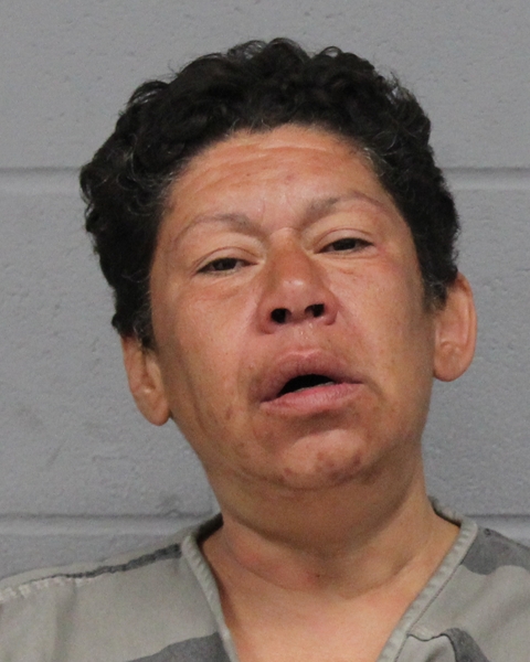 MONICA HERNANDEZ arrested by APD