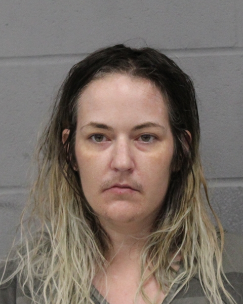 BLAINE ASHLEY arrested by APD